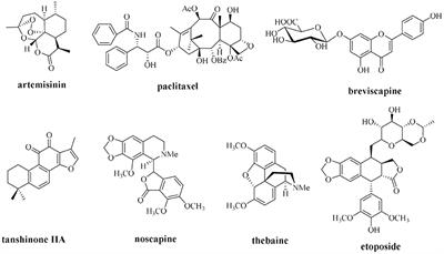 Recent Advances in the Synthetic Biology of Natural Drugs